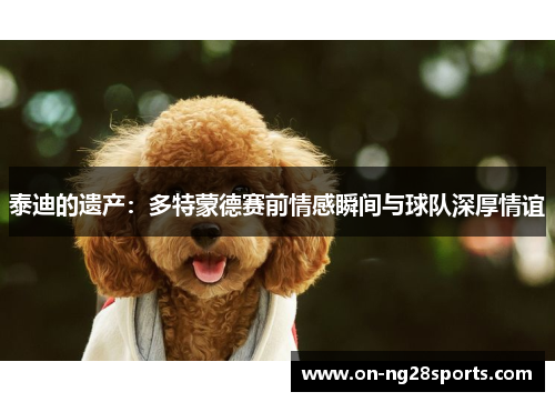 泰迪的遗产：多特蒙德赛前情感瞬间与球队深厚情谊