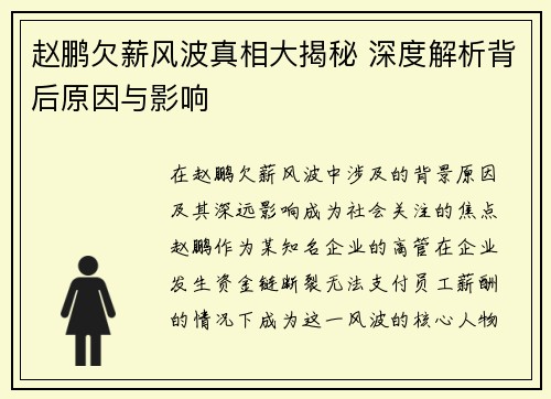 赵鹏欠薪风波真相大揭秘 深度解析背后原因与影响